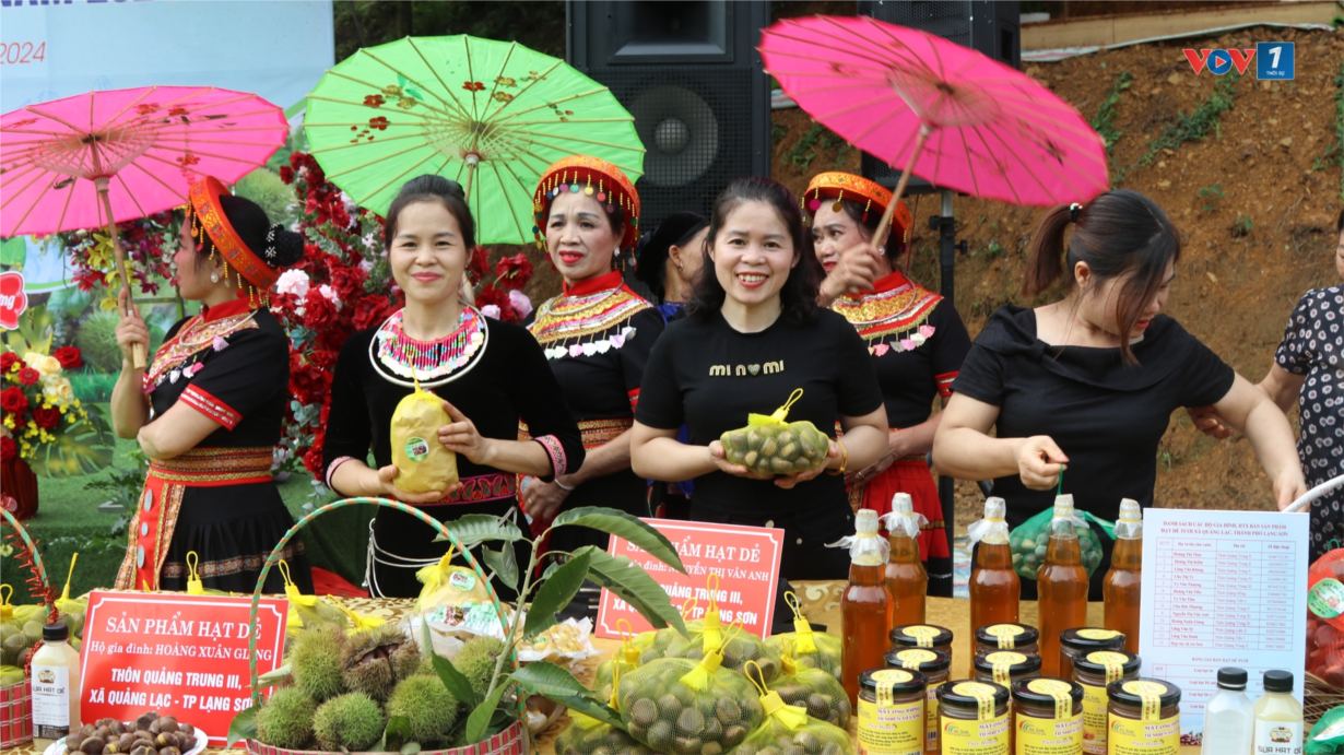 Đến Lạng Sơn trải nghiệm hái hạt dẻ (26/08/2024)